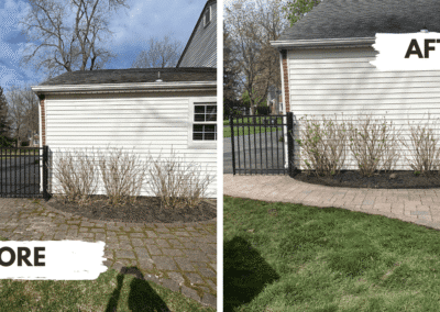 Before and after comparison of heavy moss removal on paver walkway in West Chester PA