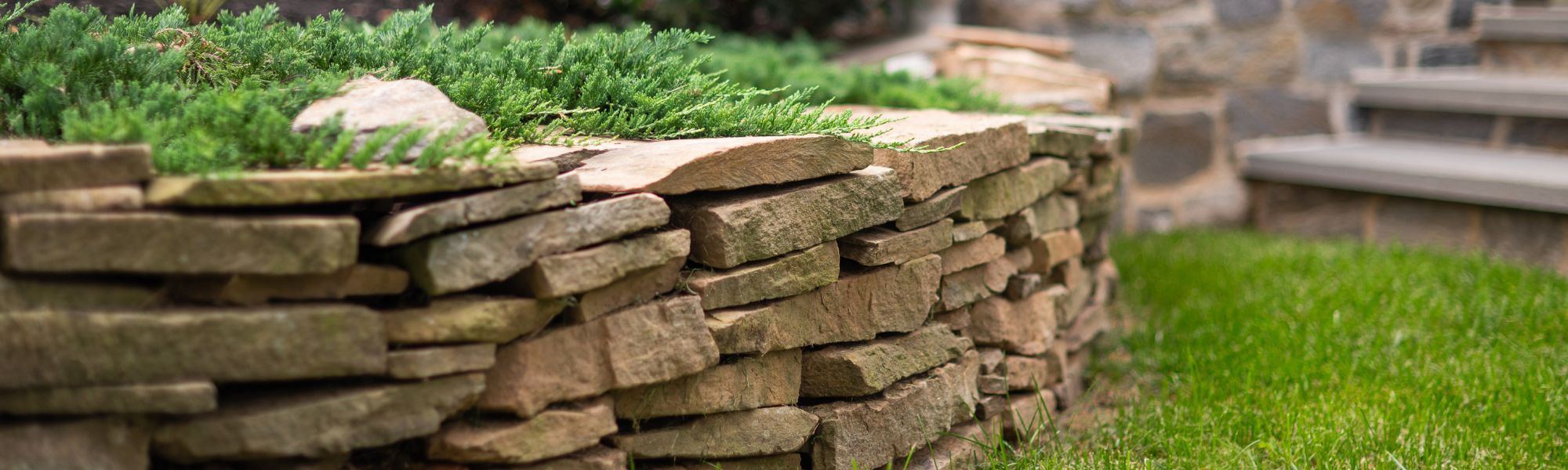 A stone wall constructed from stacked rocks, topped with lush green plants. The wall is set against a background of grass and stone steps leading up, creating a natural garden feature.