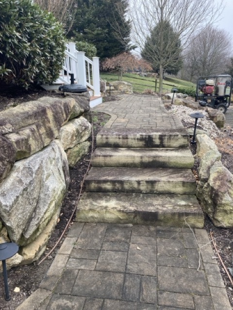 Before paver patio restoration and enhancement in West Chester PA showing moss removal and joint sand replacement.