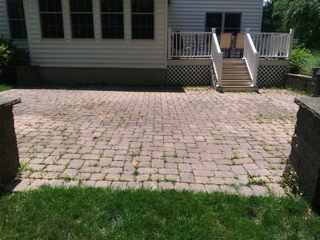 Before paver patio restoration and enhancement in West Chester PA showing moss removal and joint sand replacement.