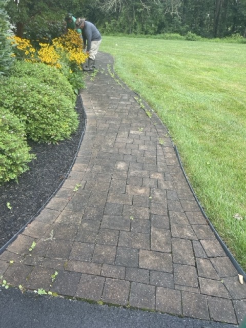 Paver walkway restoration cleaning and sealing in Chester Springs PA.